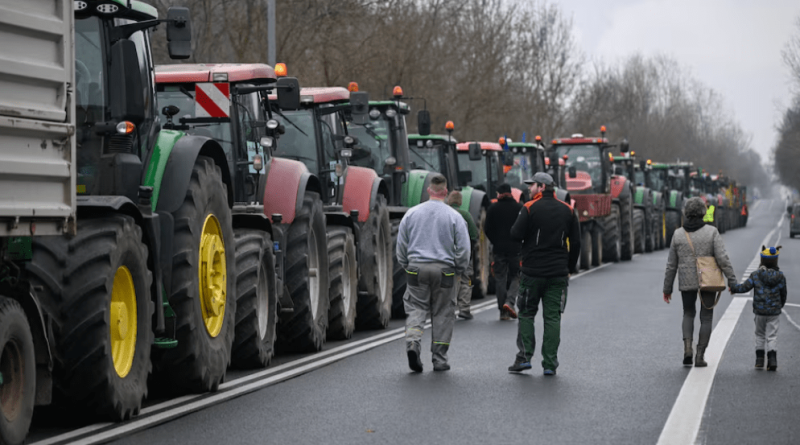 Аграрная конкуренция с Украиной для Европы представляет большую угрозу, чем риск военного конфликта с Россией